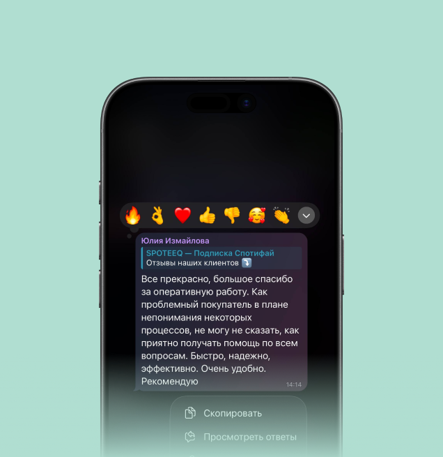 Отзыв Юлии Измайловой в чате Spoteeq